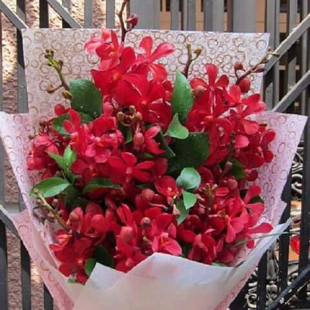 Điện Hoa Hải Phòng 21