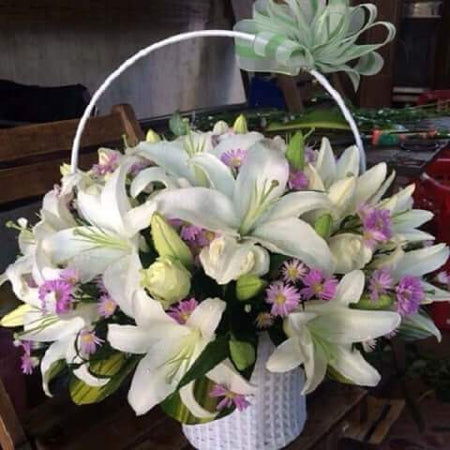 Điện Hoa Hải Phòng 22