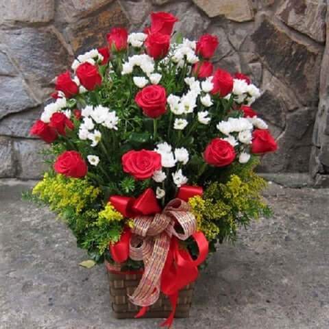 Điện Hoa Hải Phòng 26