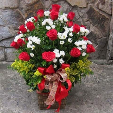 Điện Hoa Hải Phòng 26