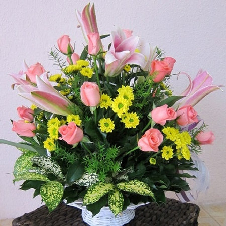 Điện Hoa Hải Phòng 37