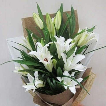 Điện Hoa Nghệ An 12