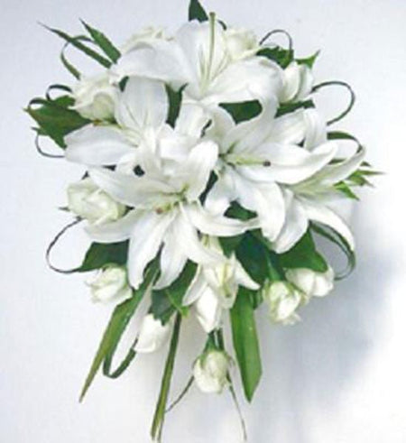 Em Đẹp Dịu Dàng - Gửi Hoa Về Việt Nam