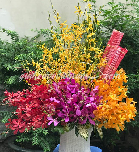 Giỏ Lan Thập Cẩm - Gửi Hoa Về Việt Nam