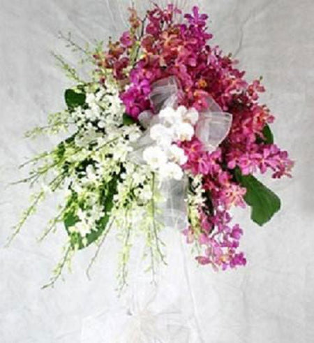 Hoa Chúc Mừng 37 - Gửi Hoa Về Việt Nam