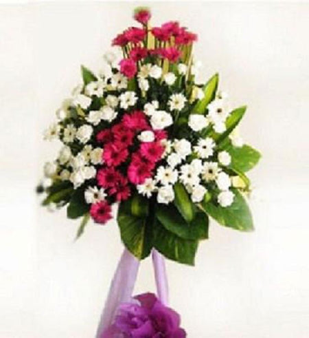 Hoa Chúc Mừng 41 - Gửi Hoa Về Việt Nam