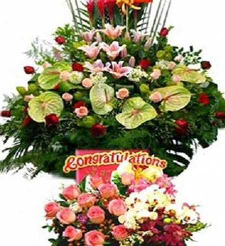 Hoa Chúc Mừng 45 - Gửi Hoa Về Việt Nam