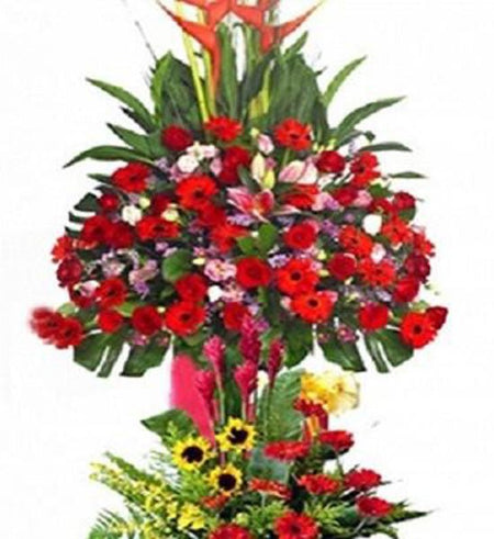 Hoa Chúc Mừng 46 - Gửi Hoa Về Việt Nam