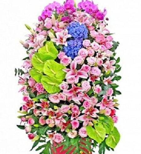 Hoa Chúc Mừng 47 - Gửi Hoa Về Việt Nam