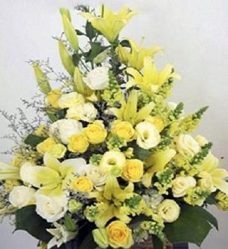 Hoa Chúc Mừng 48 - Gửi Hoa Về Việt Nam