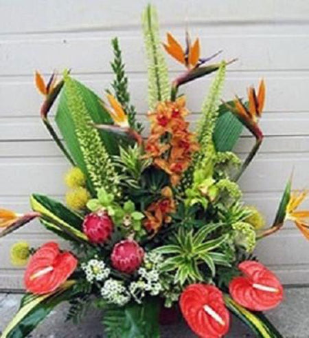 Hoa Chúc Mừng 49 - Gửi Hoa Về Việt Nam