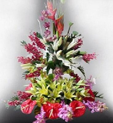 Hoa Chúc Mừng 50 - Gửi Hoa Về Việt Nam