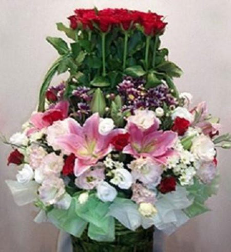 Hoa Chúc Mừng 52 - Gửi Hoa Về Việt Nam