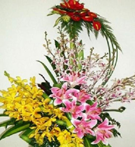 Hoa Chúc Mừng 53 - Gửi Hoa Về Việt Nam