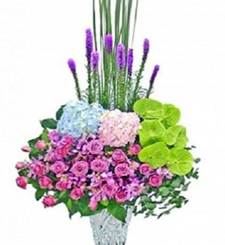 Hoa Chúc Mừng 54 - Gửi Hoa Về Việt Nam