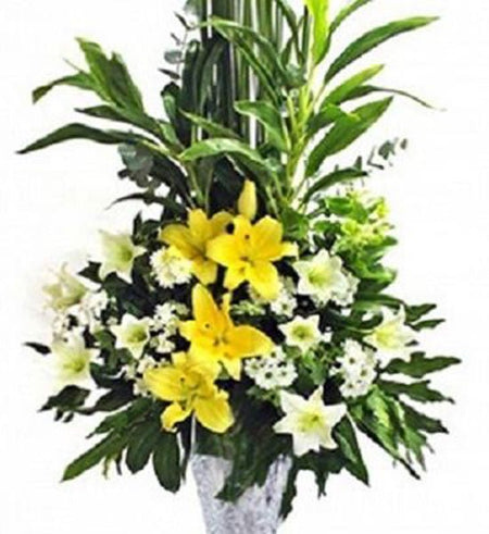 Hoa Chúc Mừng 56 - Gửi Hoa Về Việt Nam