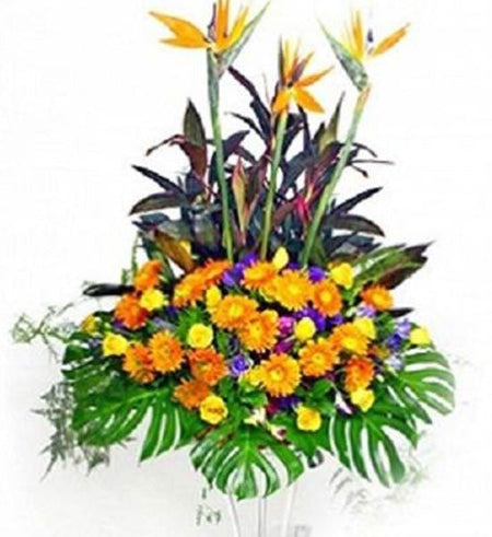 Hoa Chúc Mừng 57 - Gửi Hoa Về Việt Nam