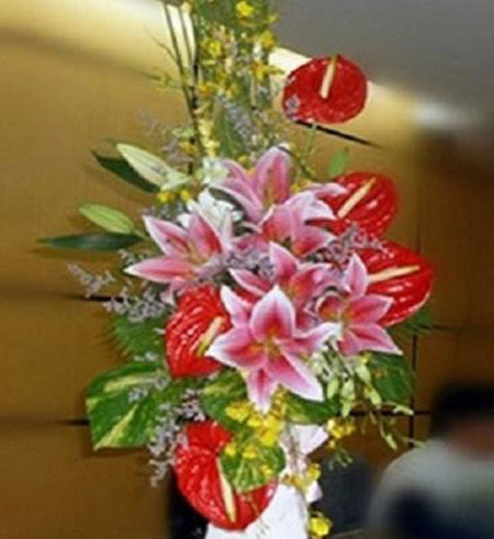 Hoa Chúc Mừng 60 - Gửi Hoa Về Việt Nam