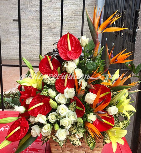 Hoa Kỷ Niệm 04 - Gửi Hoa Về Việt Nam