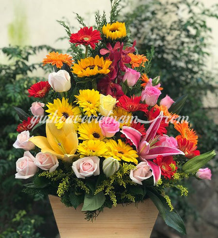 Hoa Kỷ Niệm 12 - Gửi Hoa Về Việt Nam