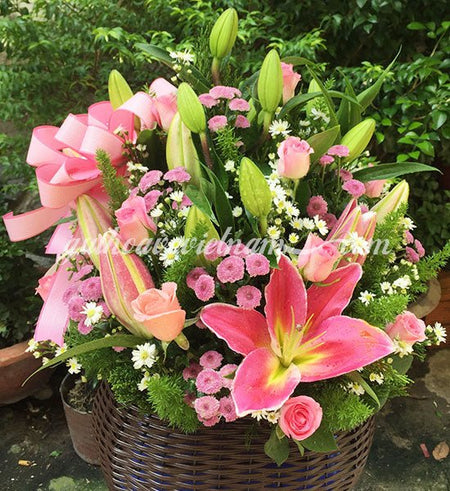 Hoa Kỷ Niệm 16 - Gửi Hoa Về Việt Nam