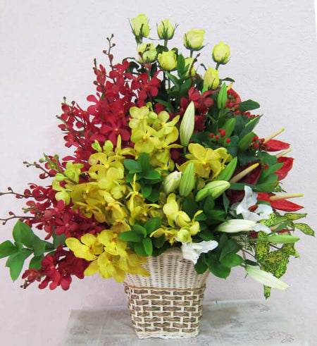 Hoa Ngày 20 Tháng 11 04 - Gửi Hoa Về Việt Nam