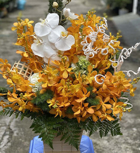 Hoa Ngày 20 Tháng 11 07 - Gửi Hoa Về Việt Nam