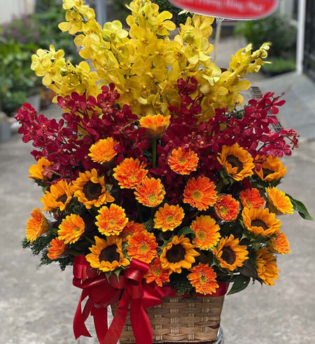 Hoa Ngày 20 Tháng 11 10 - Gửi Hoa Về Việt Nam