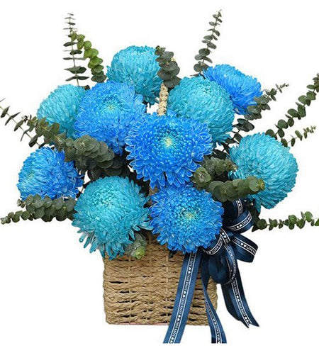 Hoa ngày 20/10 - 40 - Gửi Hoa Về Việt Nam