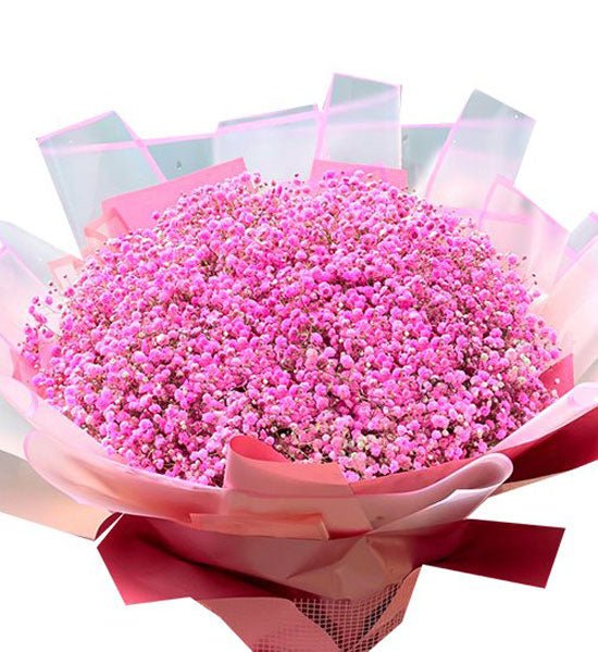 Hoa ngày 20/10 - 48 - Gửi Hoa Về Việt Nam