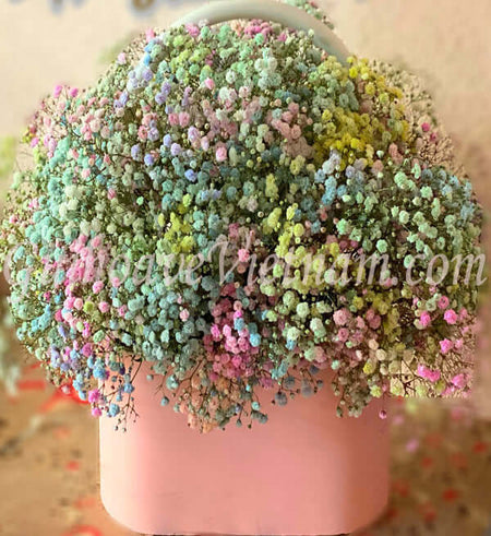 Hoa Valentine Vietnam 03 - Gửi Hoa Về Việt Nam