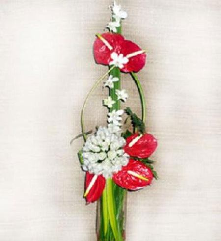 Hoa văn phòng 02 - Gửi Hoa Về Việt Nam