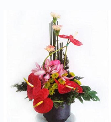 Hoa văn phòng 05 - Gửi Hoa Về Việt Nam