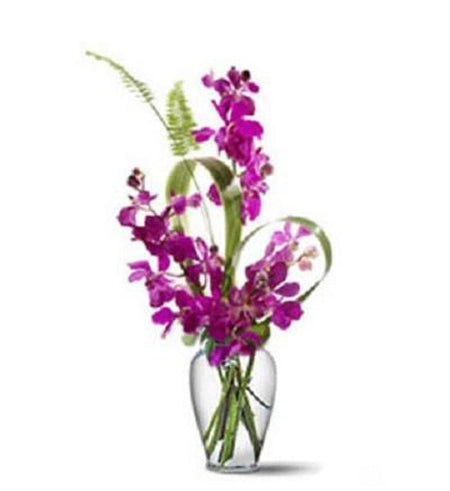 Hoa văn phòng 08 - Gửi Hoa Về Việt Nam