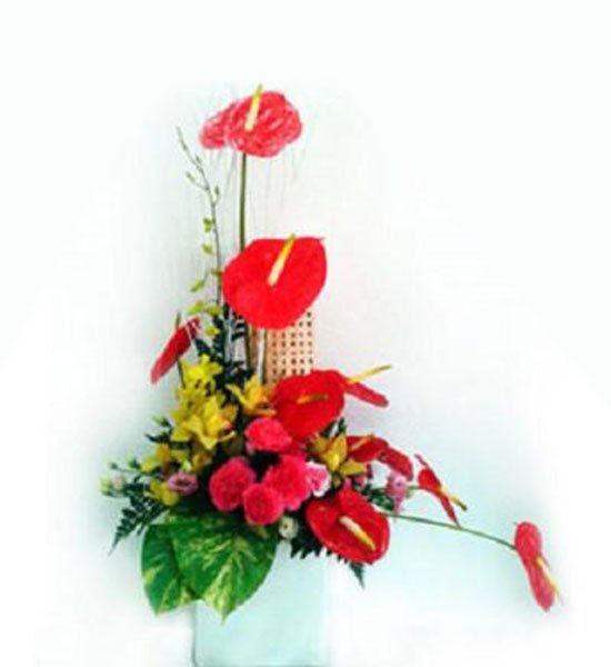 Hoa văn phòng 09 - Gửi Hoa Về Việt Nam