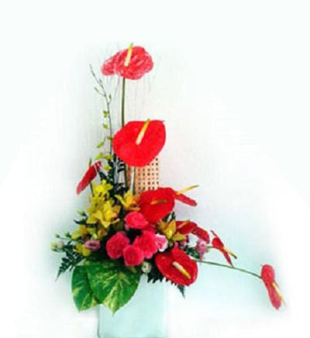 Hoa văn phòng 09 - Gửi Hoa Về Việt Nam