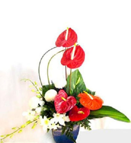 Hoa văn phòng 11 - Gửi Hoa Về Việt Nam