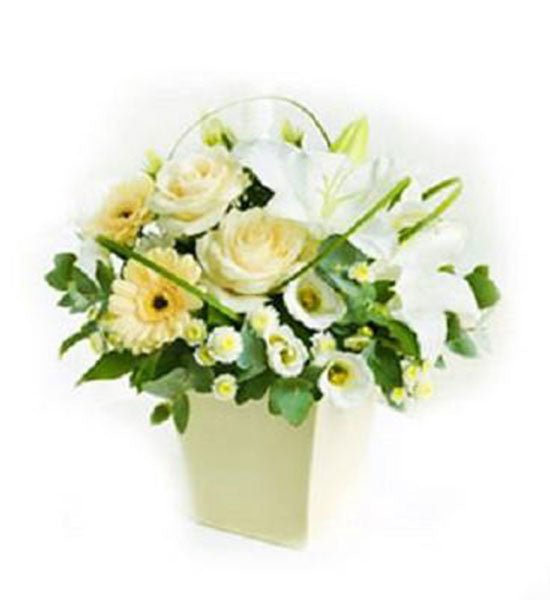 Hoa văn phòng 16 - Gửi Hoa Về Việt Nam