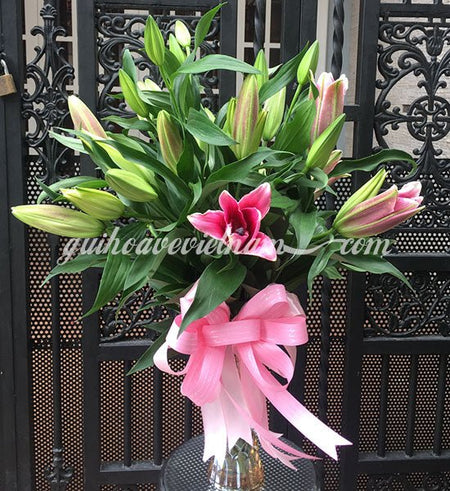 Hoa văn phòng 17 - Gửi Hoa Về Việt Nam