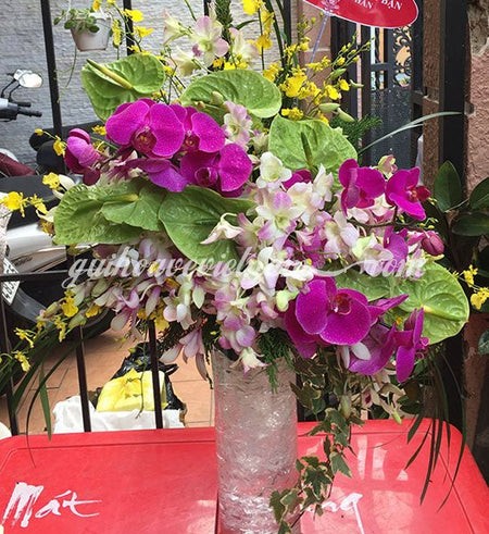 Hoa văn phòng 22 - Gửi Hoa Về Việt Nam