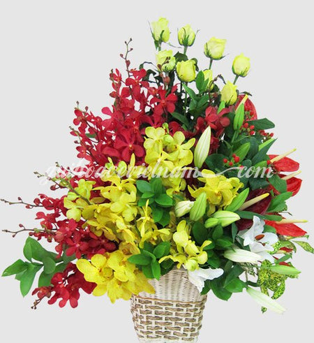 Hoa XMas 12 - Gửi Hoa Về Việt Nam