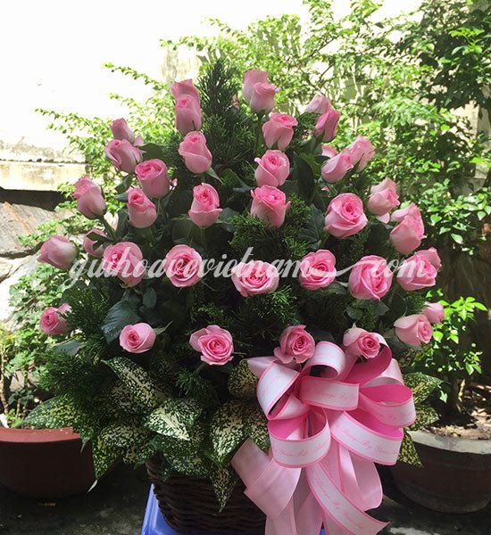 Hoa XMas 19 - Gửi Hoa Về Việt Nam