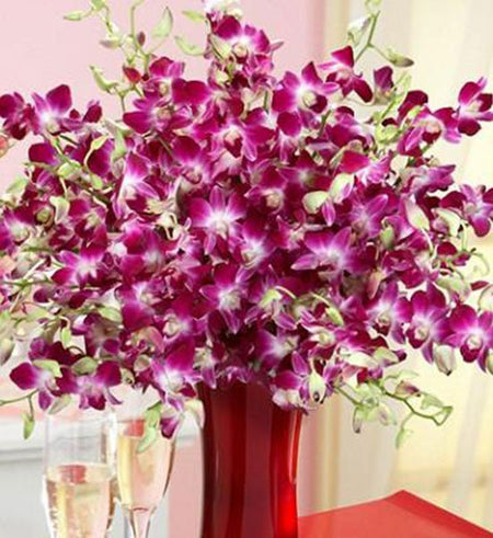 Màu Của Kỷ Niệm - Gửi Hoa Về Việt Nam