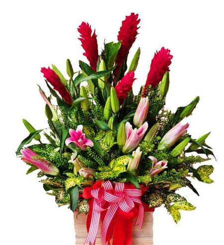 Mừng Ngày Phụ Nữ 18 - Hoa 8/3 - Gửi Hoa Về Việt Nam