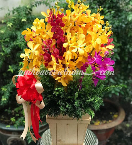 Ngày Nắng - Gửi Hoa Về Việt Nam