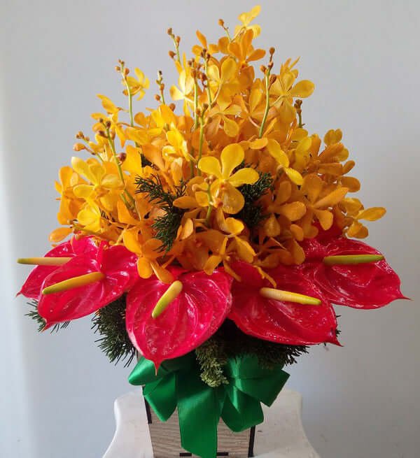 Tet Flowers 16 - Gửi Hoa Về Việt Nam