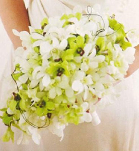 Thủy Chung - Gửi Hoa Về Việt Nam