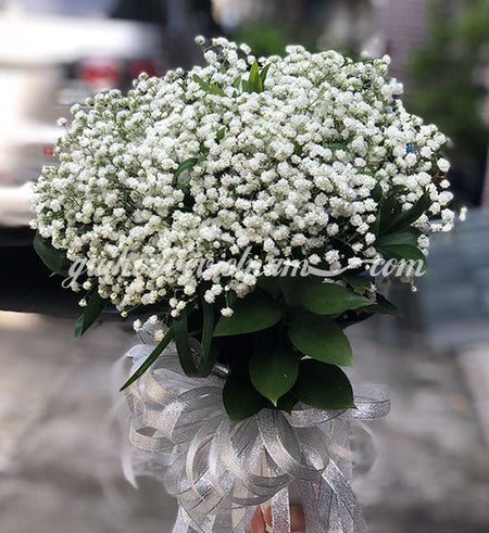 Tình Yêu Màu Trắng - Gửi Hoa Về Việt Nam