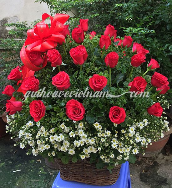 Tình Yêu Nồng Nàn - Gửi Hoa Về Việt Nam